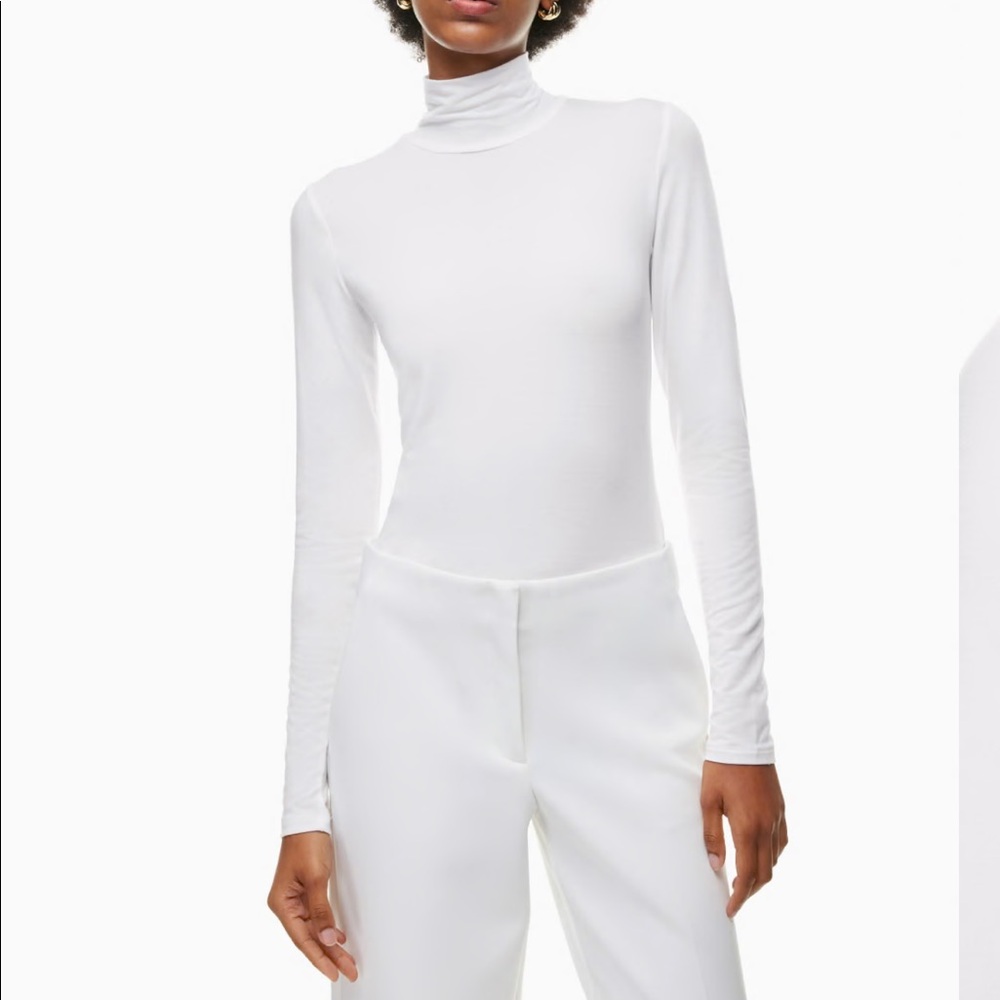 Aritzia/babaton mockneck long sleeve.